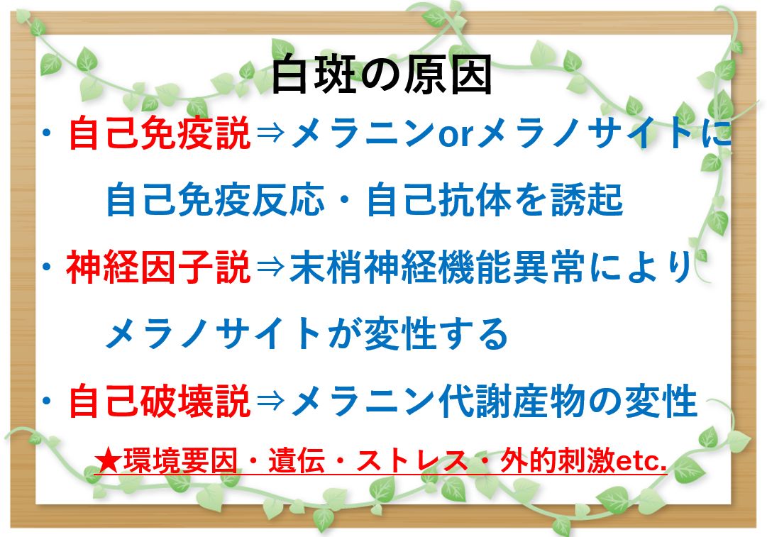 白斑 大田区大森の大木皮膚科 原因と治し方 白斑治療を詳しく解説