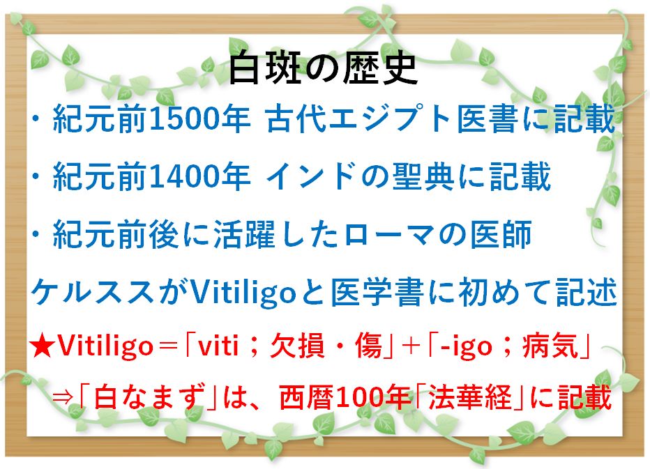 白斑 大田区大森の大木皮膚科 原因と治し方 白斑治療を詳しく解説